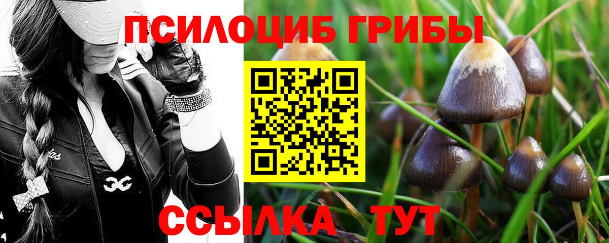 где найти наркотики  Вход с VPN  Родники  Псилоцибиновые грибы мухоморы 