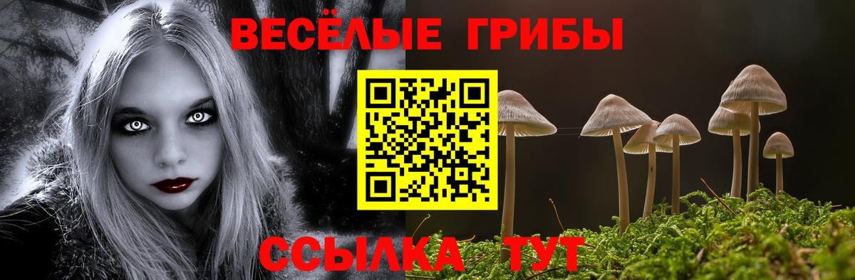 Галлюциногенные грибы GOLDEN TEACHER Родники
